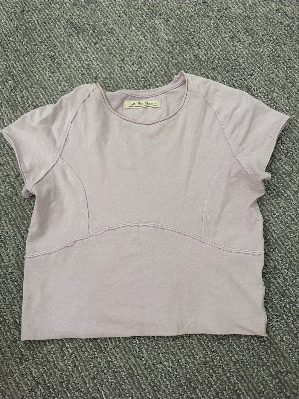 We The Free Pale Lavender Short Sleeve Crop Tee
